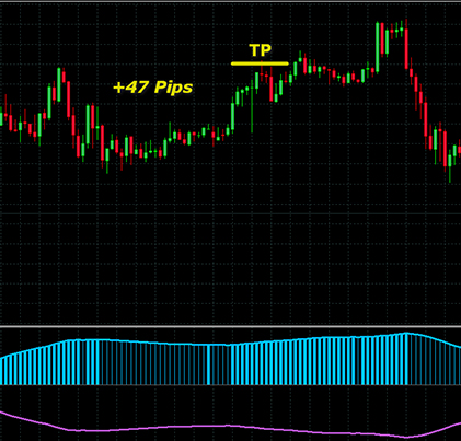 <h1>FOREX VIKING PRO外汇交易系统一款没有未来函数</h1>