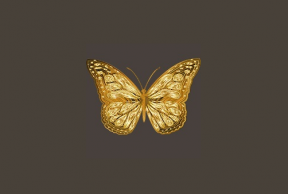 <h1>Gold Butterfly Scalper Pro黄金的趋势跟踪和反趋势的外汇EA下载</h1>