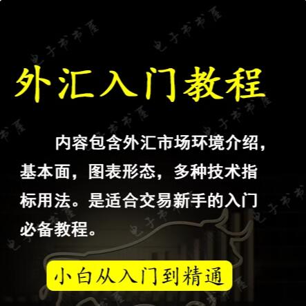 外汇交易进阶原理从入门到精通视频教程资料炒汇黄金原油白银视频下载