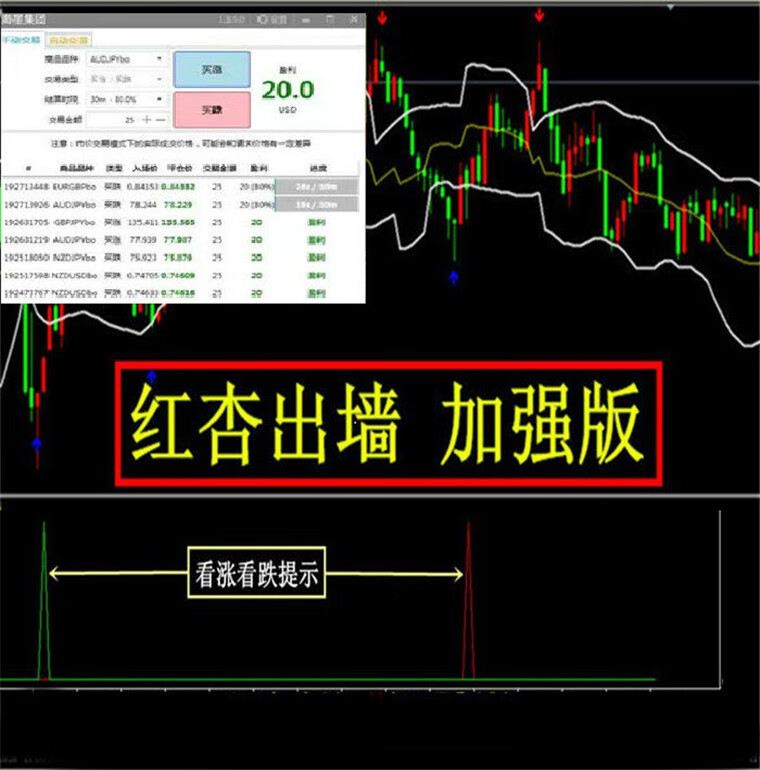 红杏出墙超强版外汇MT4技术指标黄金原油分析模板