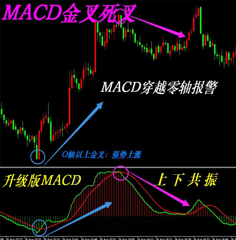 MACD(金叉死叉零轴警报)外汇MT4技术指标黄金原油分析模板