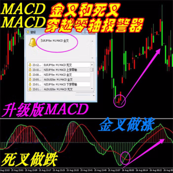 MACD(金叉死叉零轴警报)MT4技术指标黄金原油分析模板外汇